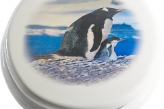 Art300-Pinguini